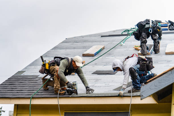 Professional Gutter Installation technician working in Edinburg, PA
